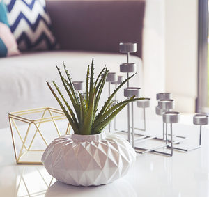 green plant in a vase and candle stand in living room